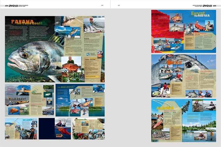 世界版式300强5 平面设计素材排版画册模板矢量PSD分层版式源文件