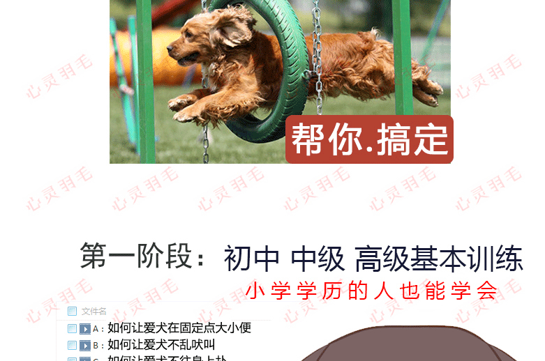 训犬视频教程大全