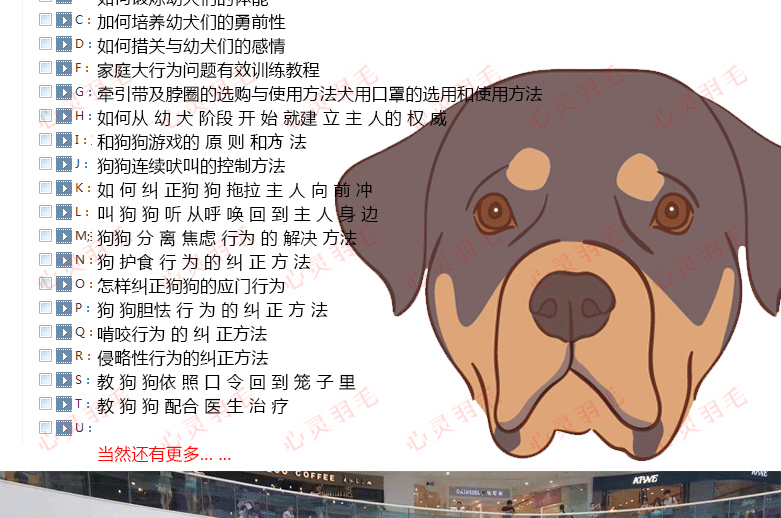 训犬视频教程大全