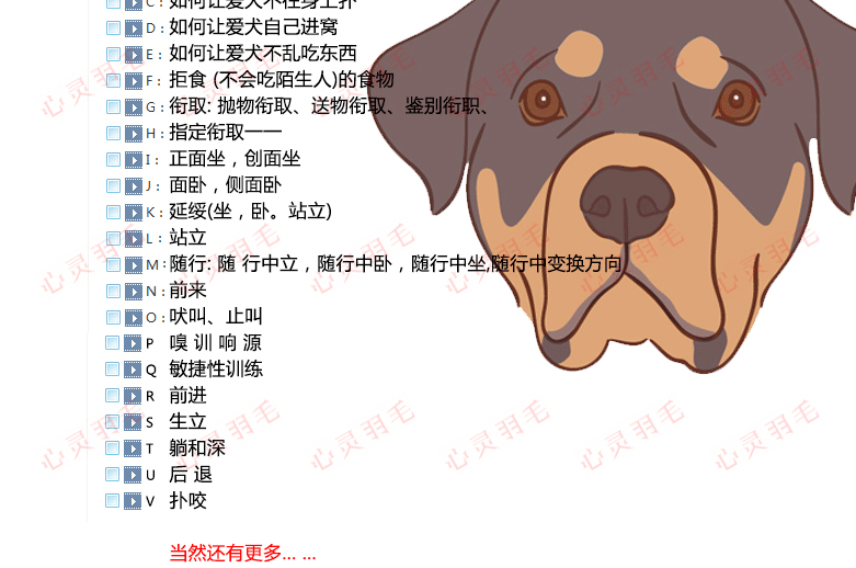 训犬视频教程大全