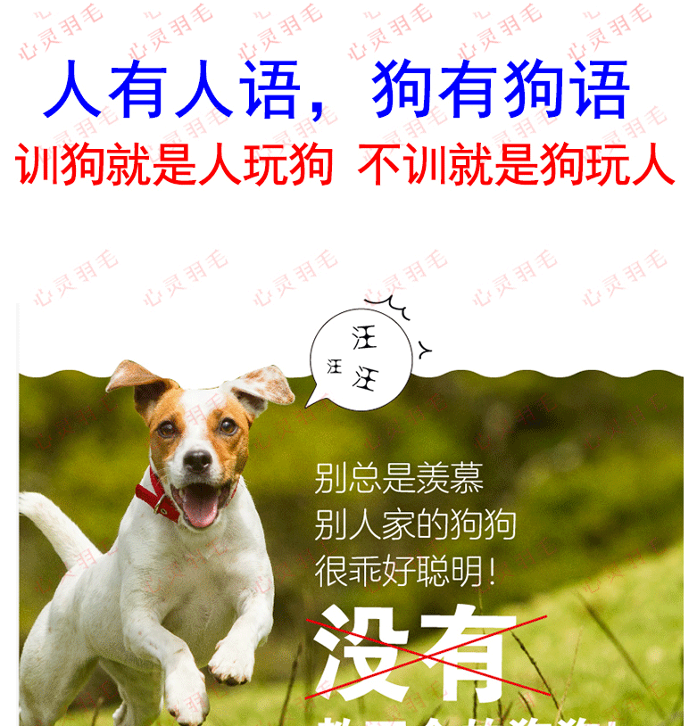 训犬视频教程大全