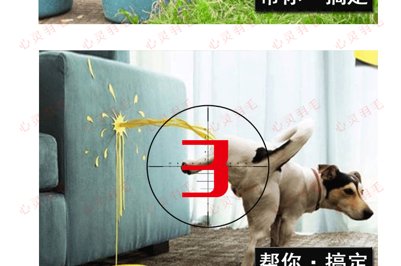 训犬视频教程大全