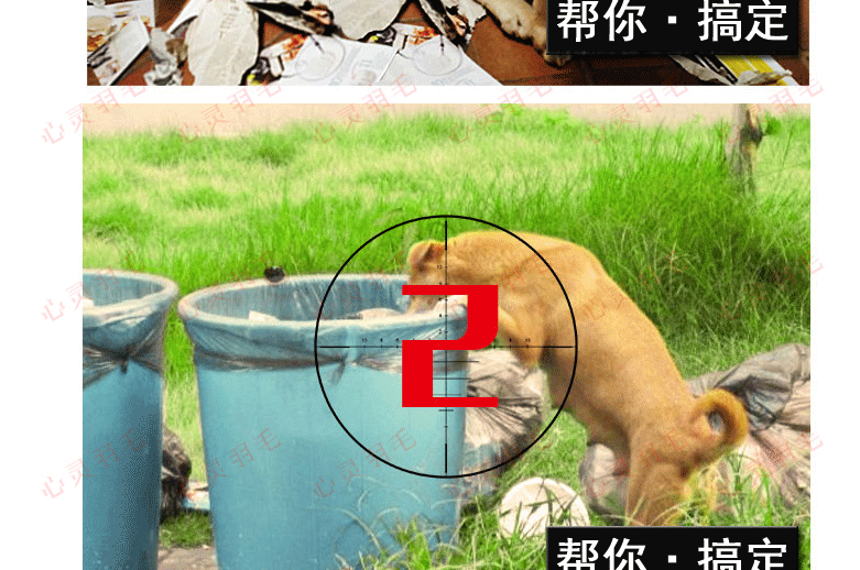 训犬视频教程大全