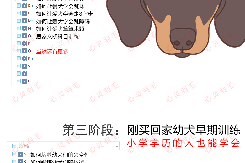 训犬视频教程大全