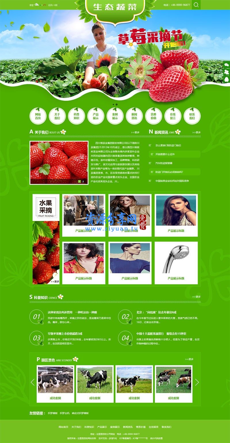SEO 效果好的绿色水果蔬菜类网站模板(带手机端)